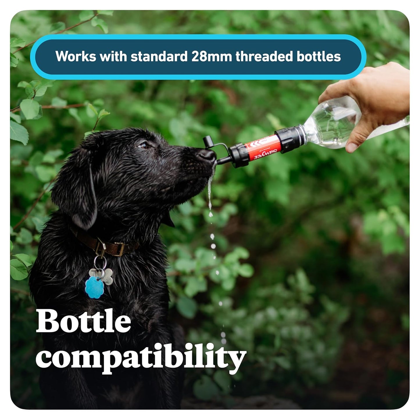 Mini Water Filter